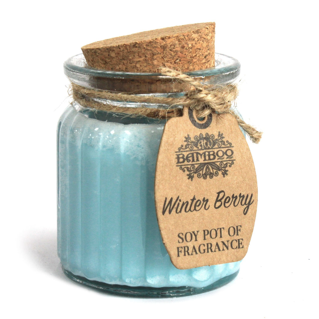 Winter Berry Soy Pot Wax Candle